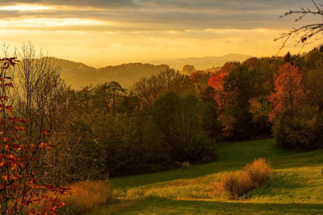 Ferienwohnungen Bauer - Auszeit Mit Ausblick Zenting エクステリア 写真